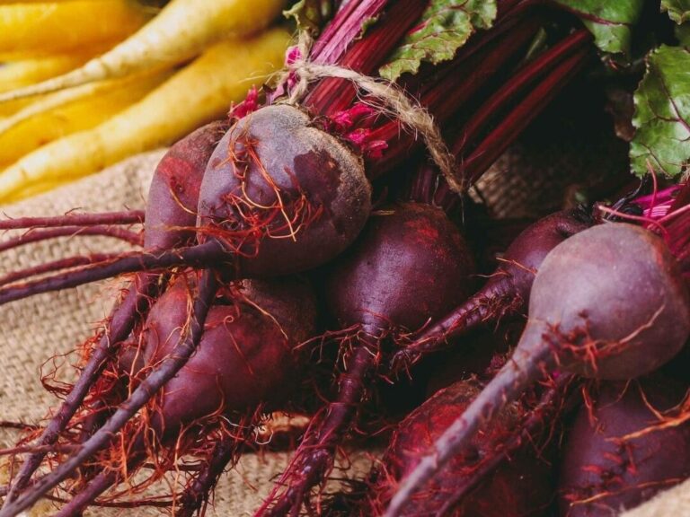 Beneficios del betabel Mercadona