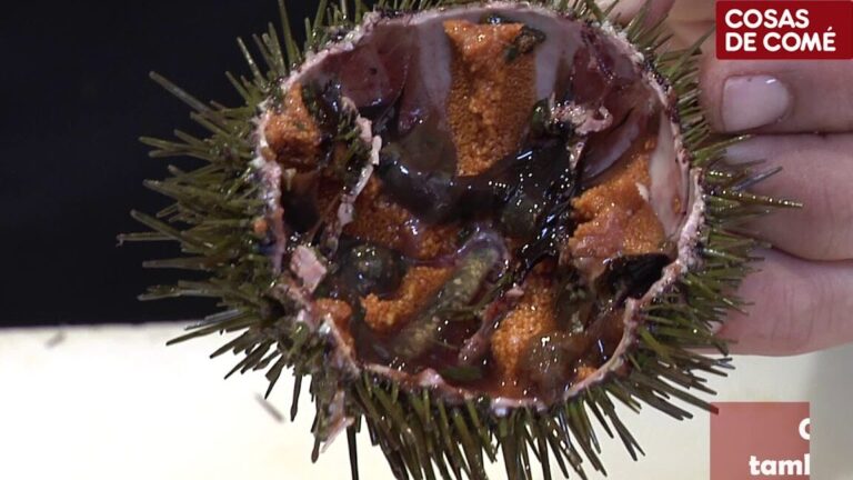 Descubre el rico erizo de mar con Mercadona